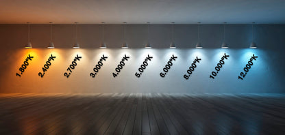 Ruban COB Led 24V - 10W - 5 mètres - PCB 10mm