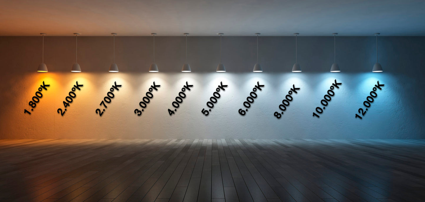 Ruban led 12V 3528 Pro - 19.2W - 10 mètres